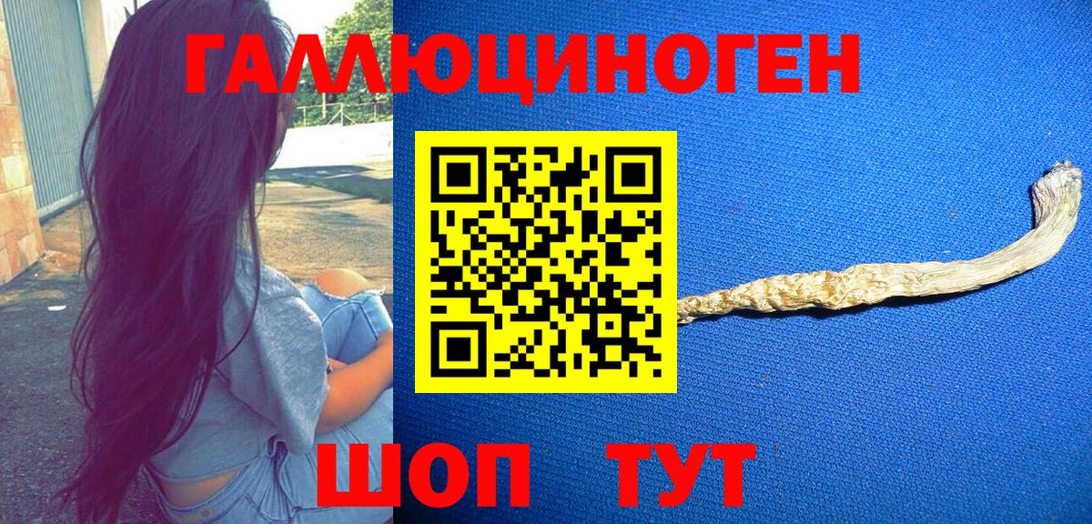 Ипатово  Галлюциногенные грибы Psilocybine cubensis  Вход с VPN 